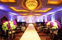 Wedding and Event Up-Lighting & Custom Decor Service